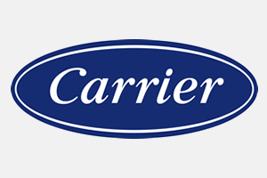 Carrier